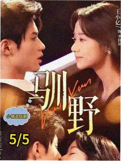 我是大哥大 日剧喜剧 日韩影视剧大全